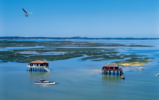 Logo Bassin d'Arcachon (France)