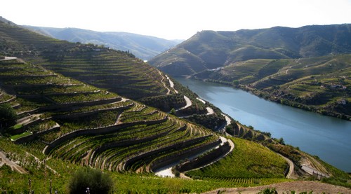 vallee-du-douro