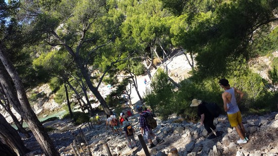 Calanques-Port-Pin-et-dEn-Vau