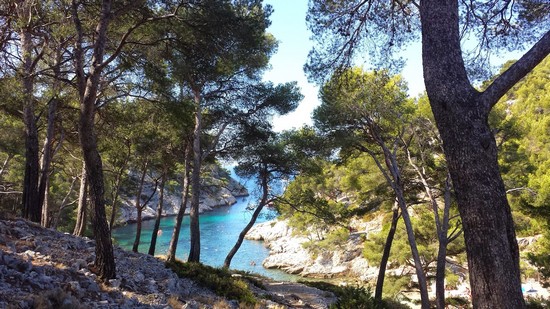 calanque-cassis