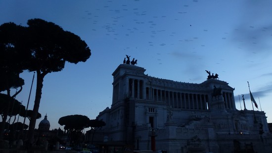rome La piazza Venezia rome La piazza Venezia