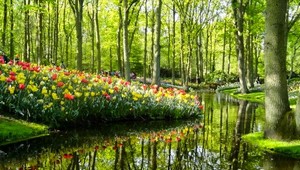 Visite de Keukenhof – Le plus beau jardin du monde