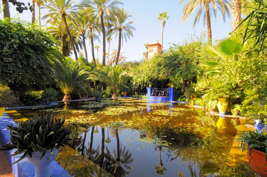 jardin-majorelle-marrakech jardin-majorelle-marrakech