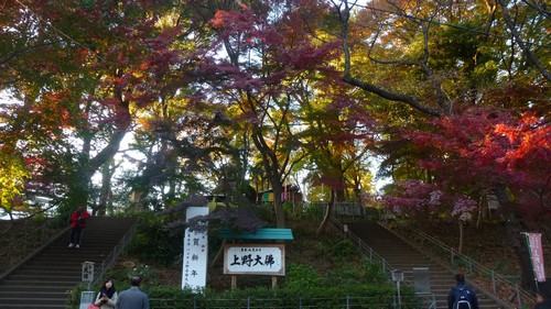 visiter-parc-ueno