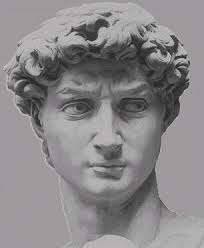 david