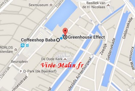 bar-quartier-rouge-amsterdam