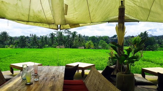 cafe-rizieres-ubud-bali