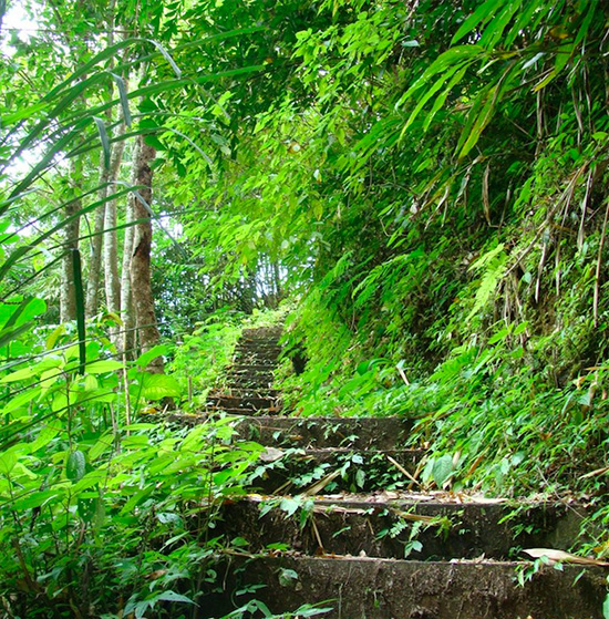 chemin-randonnee-munduk-Bali