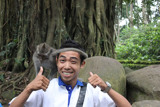 foret-singes-Ubud