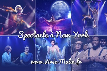 spectacle-concert-newyork-a-laffiche