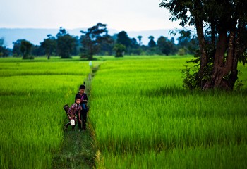 Visiter le Cambodge – Information et itinéraire de 2 ou 3 semaines