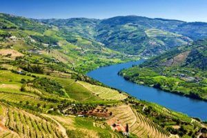 Visiter la Vallée du Douro – Excursion et guide francophone