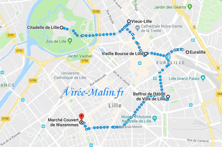 visiter-lille-carte-googlemap