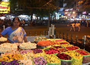 Visiter Bangalore et où dormir à Bangalore