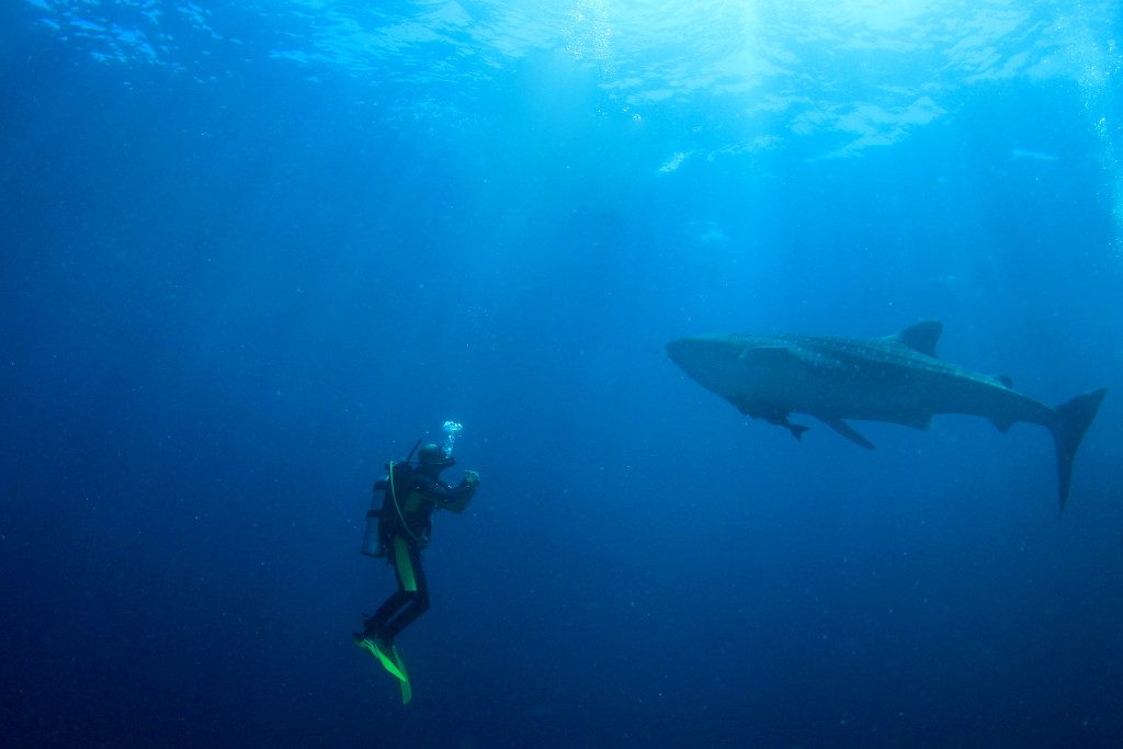 passer-diplome-plongee-koh-tao