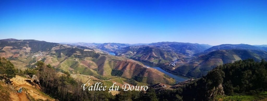 Vallee-douro-voyage-porto