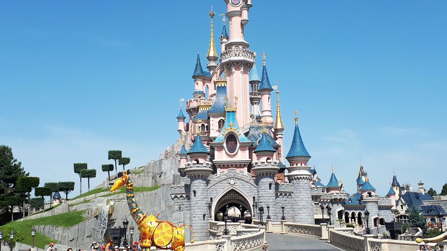 Billet Coupe File Pour Visiter Disney Land Paris