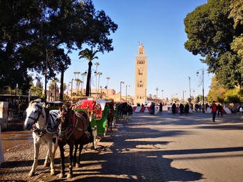 Transfert entre l’aéroport de Marrakech-Ménara et le centre de Marrakech – PLace Jemaa El Fna