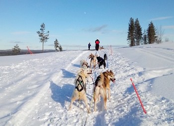 activItes-rovaniemi-laponie-excursions