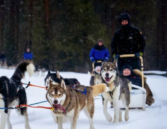 Activités à Rovaniemi – Votre aventure sur le cercle polaire arctique (Laponie – Finlande)