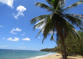 Que faire en Martinique