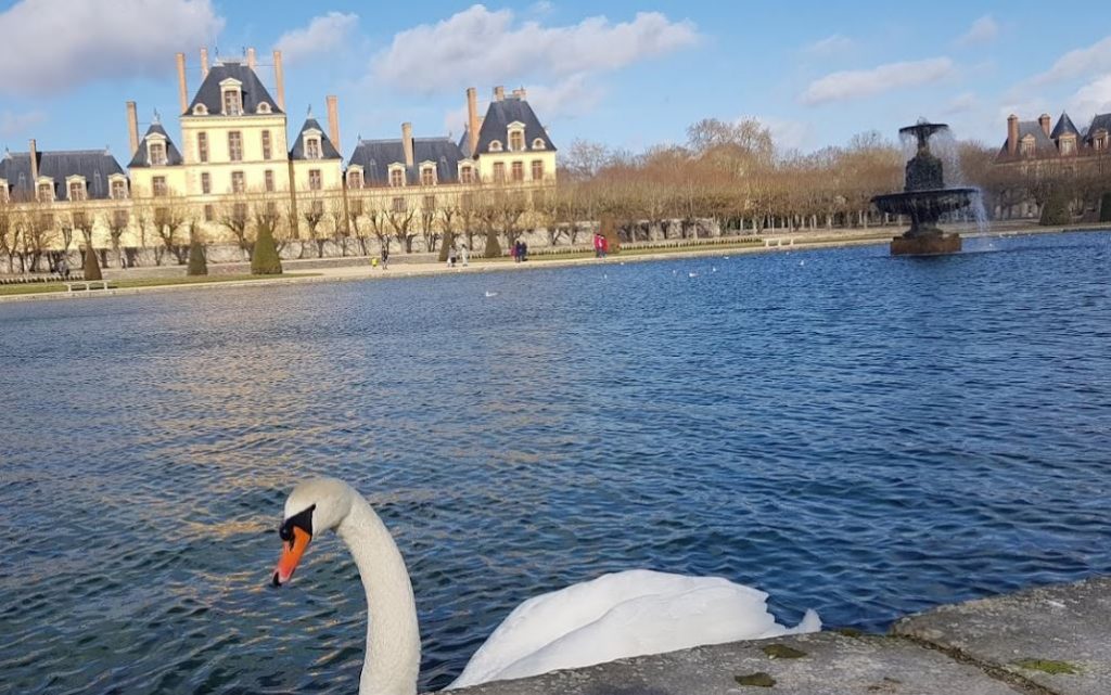 chateau-fontainebleau-foret-randonnee