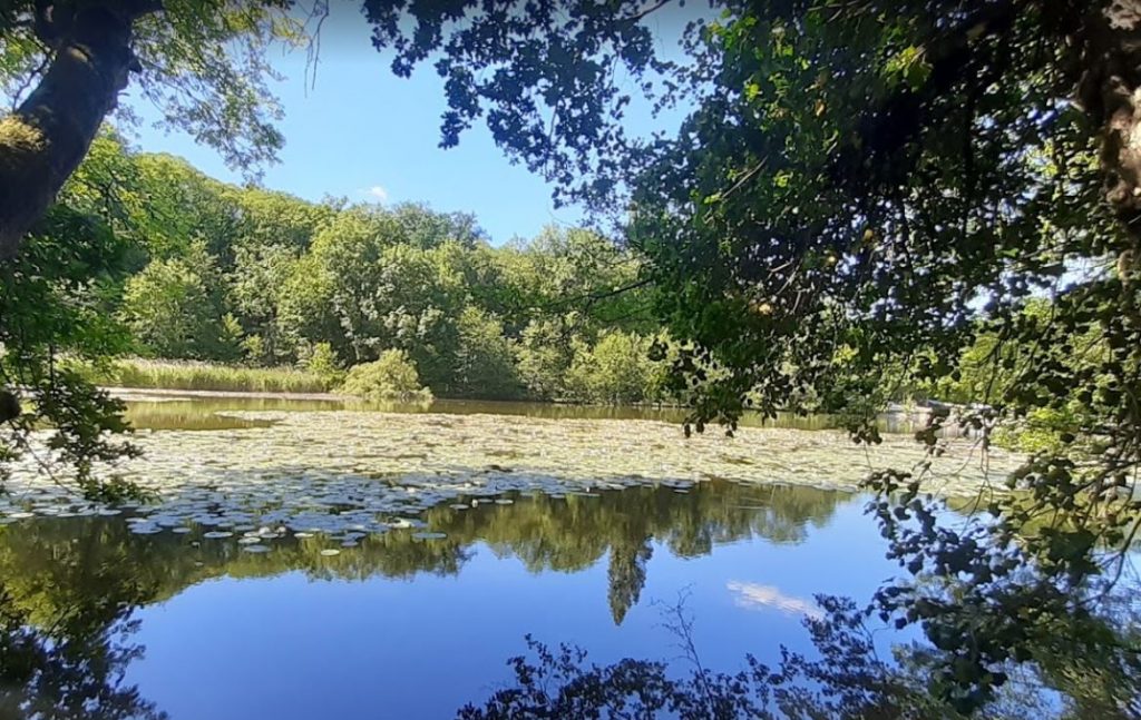 sentier-foret-rambouillet