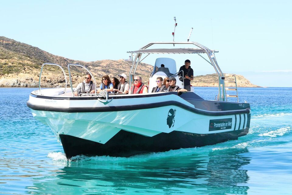 excursion catamaran calvi