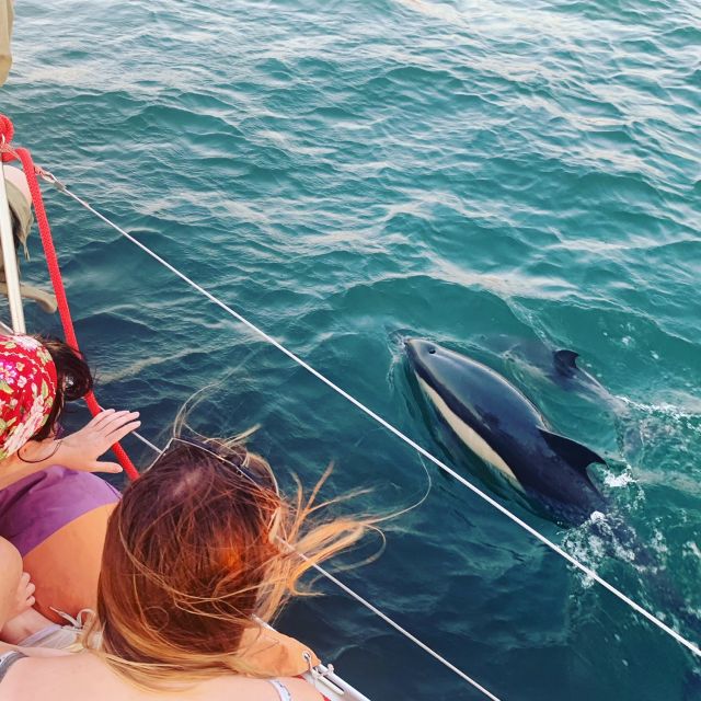 activite-bateau-lisbonne-dauphin