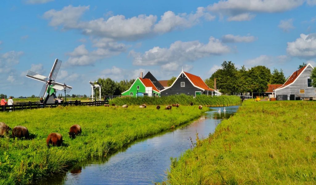 activite-region-amsterdam-polders