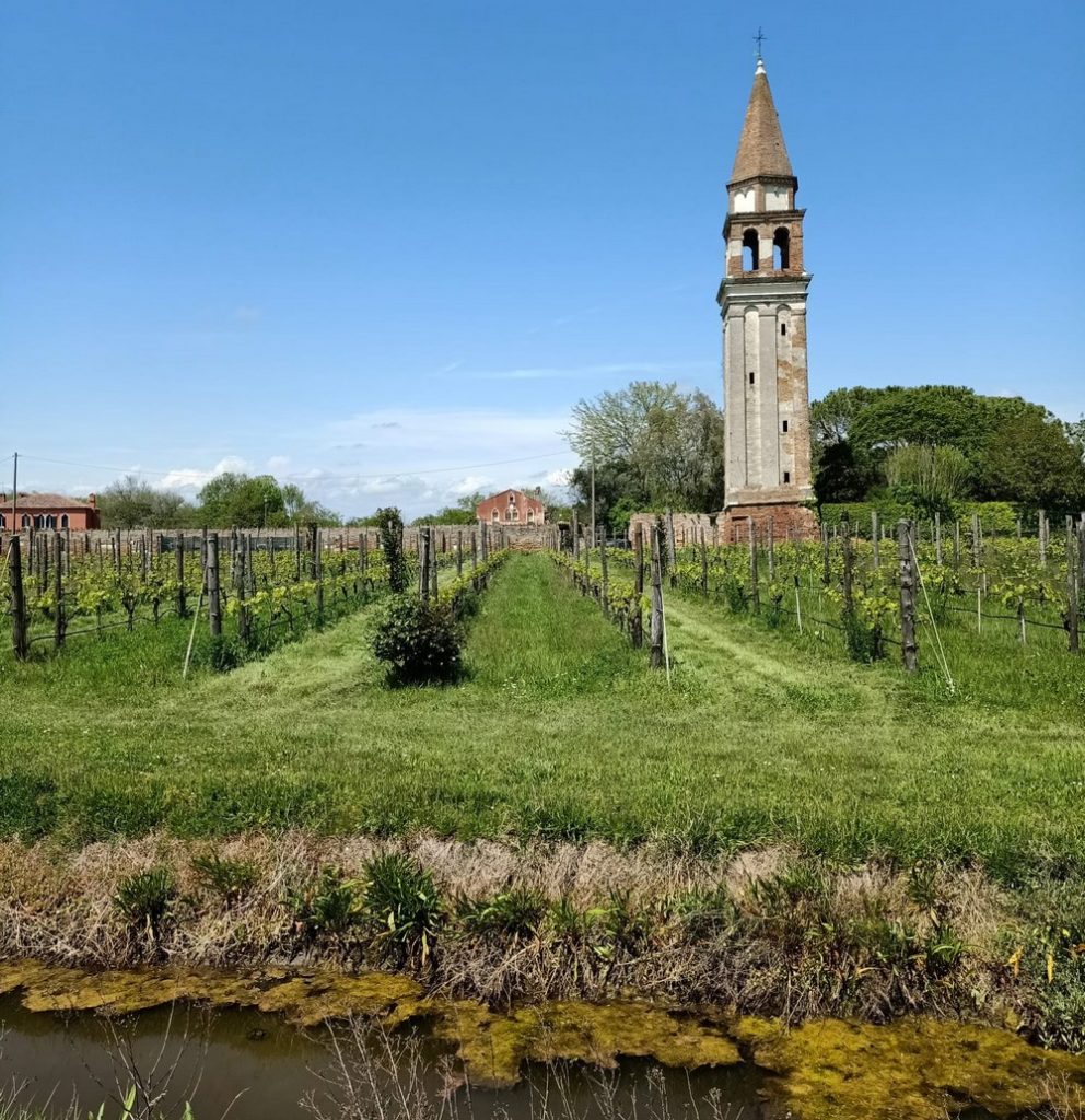 bateau-pour-ile-mazzorbo-visiter-iles-venise