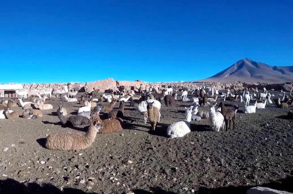 circuit-sud-bolivie-desert-sel-uyuni