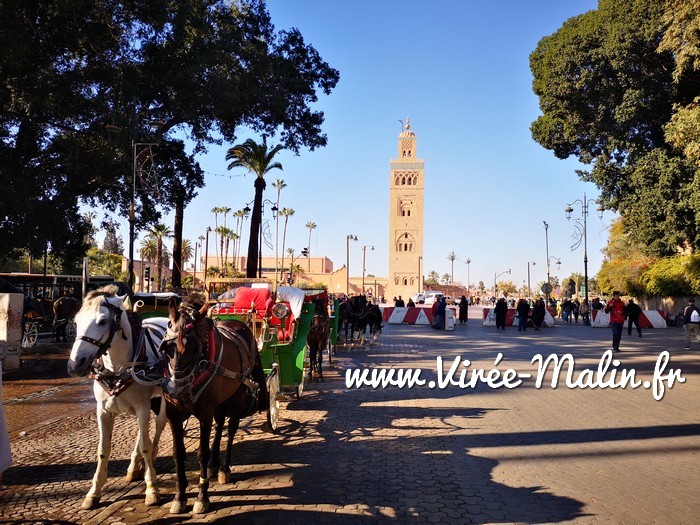 caleche-marrakech-koutoubia