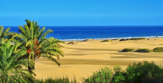 dunes-maspalomas-iles-des-canaries-en-mars
