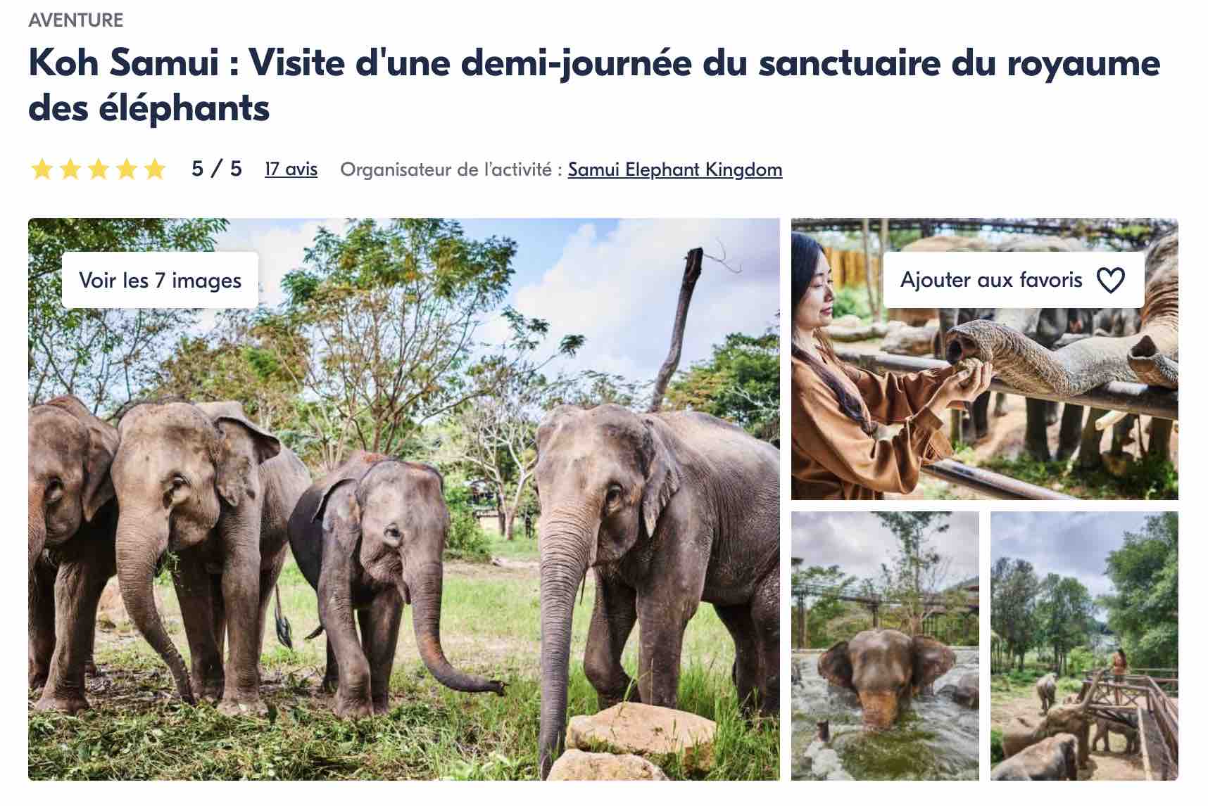 ko-samui-visite-sanctuaire-des-elephants