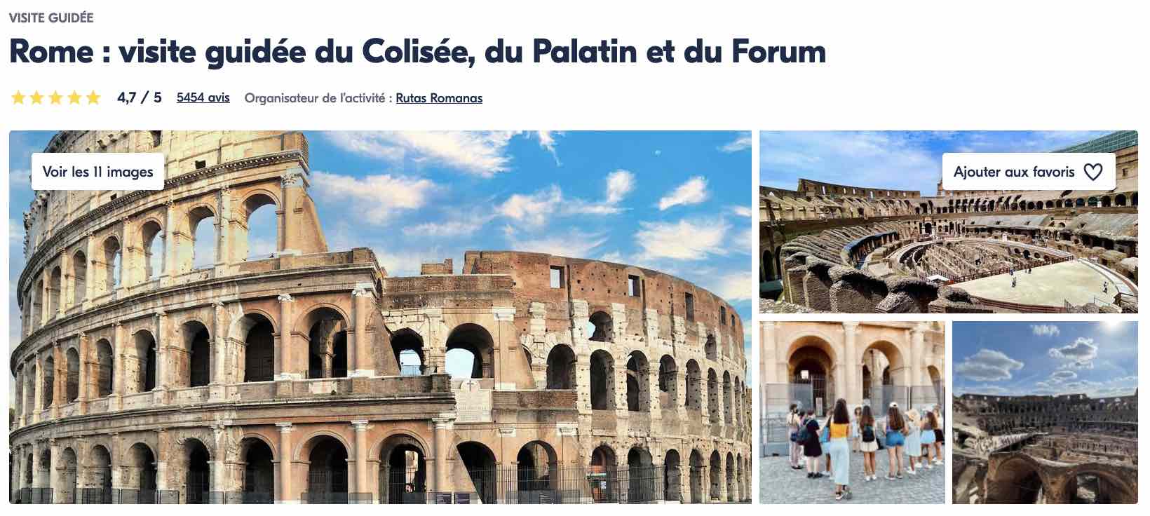visite-guidee-a-rome-palatin-forum-amphitheatre