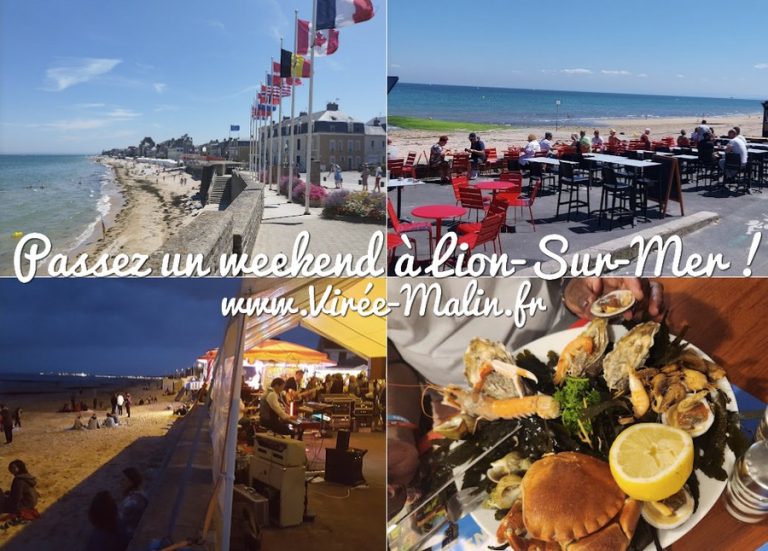 Sitemapcdatahttpsshopinf Inetcomdeces Lion Sur Mer