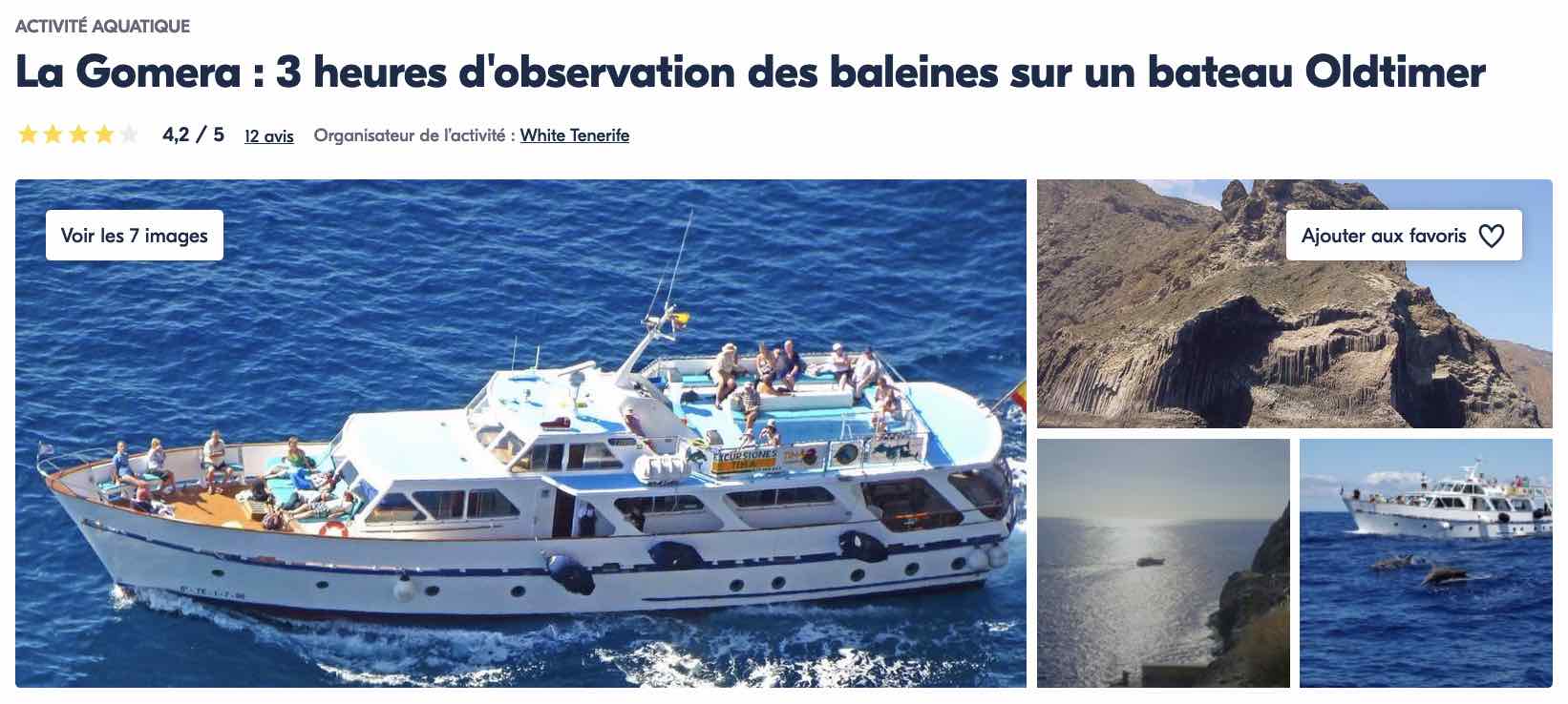 reserve-marine-la-gomera-sortie-bateau-observation-baleine