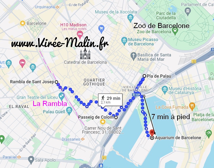 Pourquoi Il Faut Visiter L Aquarium De Barcelone Vir e Malin fr