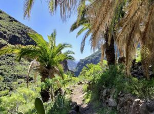 Que faire à La Gomera ? Où dormir à La Gomera ?