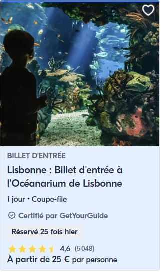 Aquarium-Lisbonne-billet-internet