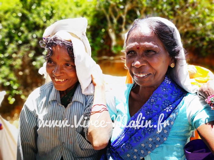 Itinéraire Sri Lanka 15 jours