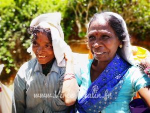 Visiter le Sri Lanka en 10 ou 15 jours