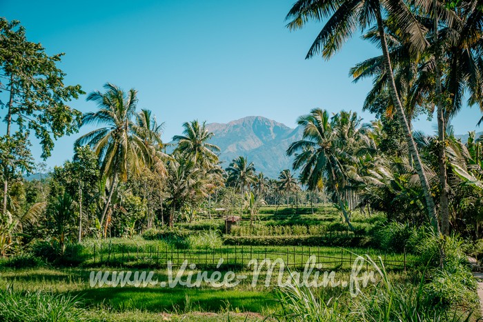 Visiter Tetebatu et où dormir à Tetebatu