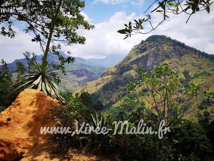 Visiter Ella et où dormir à Ella